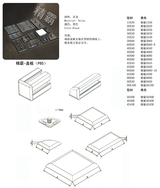 精霸-蓋板（P65）-1.png